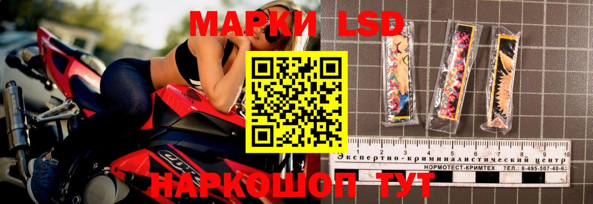 Прохладный  блэк спрут зеркало  Вход с VPN  LSD-25 экстази ecstasy  ЛСД экстази ecstasy 