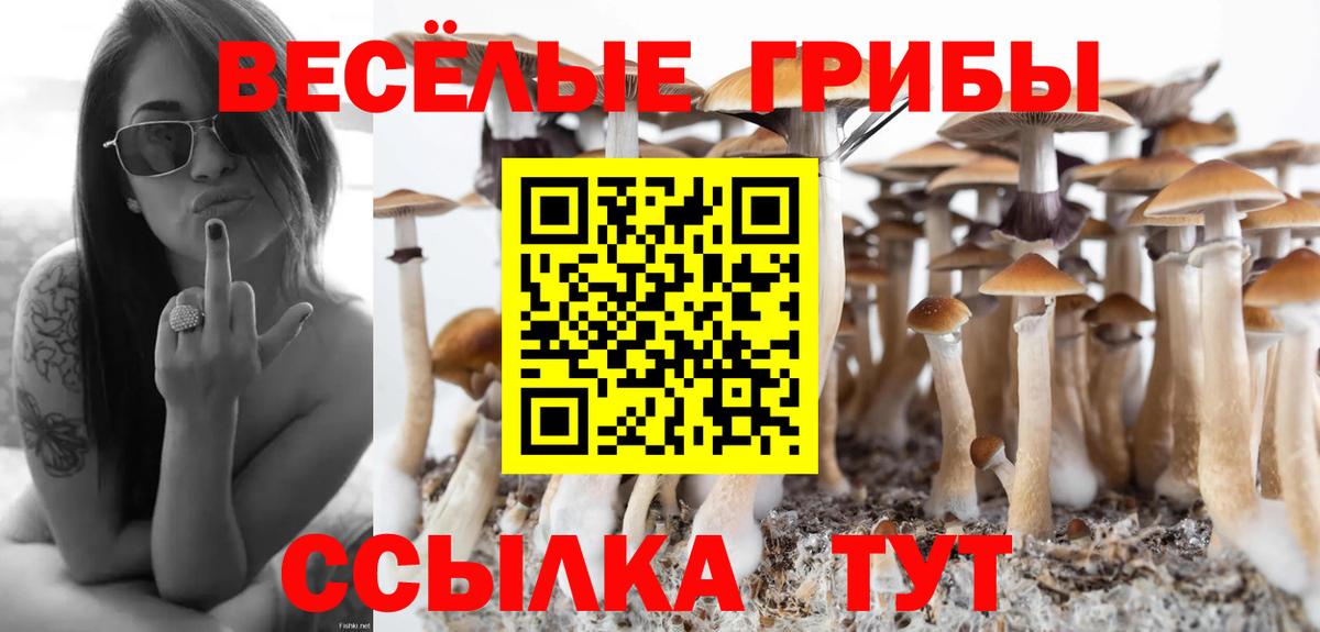 Галлюциногенные грибы мухоморы  Галлюциногенные грибы MAGIC MUSHROOMS  Прохладный  хочу наркоту  Вход с VPN 