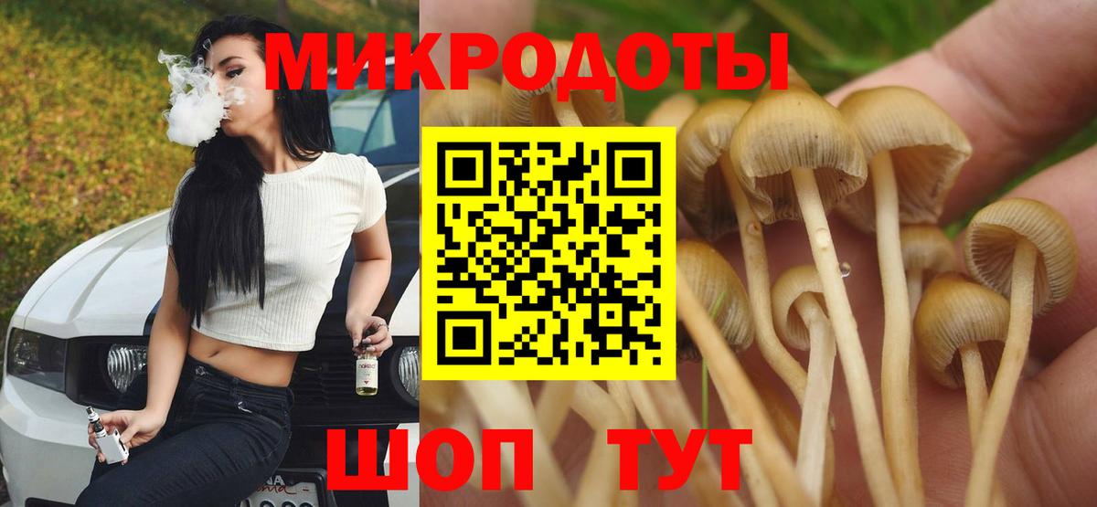 Псилоцибиновые грибы Cubensis Прохладный